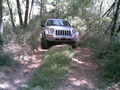 Playin` in the mud....Vol. I 50578458