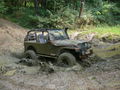 Playin` in the mud....Vol. I 50579831