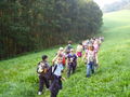 Vici in der Schule 08/09 68887040