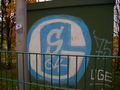 Auf_Schalke 09.11.08 48602938