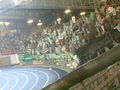 SK Rapid Wien 59442080