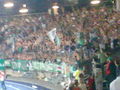 SK Rapid Wien 59442089