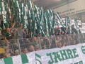 SK Rapid Wien 59442108