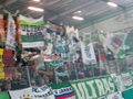 SK Rapid Wien 59442118