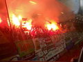 SK Rapid Wien 59442123