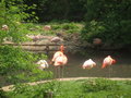 Zoo Schmiding 19065414