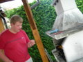 grillen und chillen bei hofi 21432504