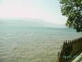 Attersee EINFOCH NUR GEIL 8264075