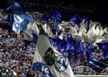 FCSchalke04 20775846