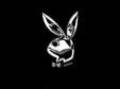 Playboy-bunnys and co 6640200