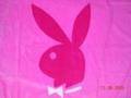 Playboy-bunnys and co 6640212