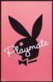 Playboy-bunnys and co 6640677