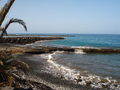 Tenerife 2008 44500226