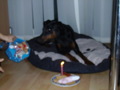 Kira´s erster Geburtstag 30752765