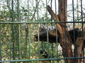 Tierpark Haag 60108315