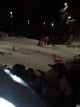 Schladming 22.01.2008 34439922