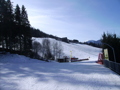 coma-skitag 2oo8 (schladming) 34355606