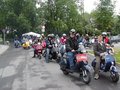 Vespa,Hasen,Urlaub,... 11701981