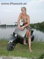 Vespa,Hasen,Urlaub,... 12022439