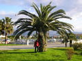 Urlaub Jänner 2005 " Tropea " 53712683