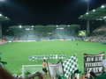 SK RAPID WIEN - Rubin Kazan  3:1 24330149