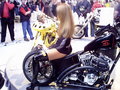 Motorradmesse (MrOldschool & MrLiebh 14632267