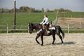 FREESTYLE-REINING 47227081