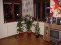 My Flat 2007 - Meine 2. Wohnung 18386883