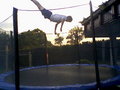 "TRampOliN" 21095415