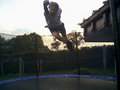 "TRampOliN" 21095416