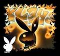 ^^plAyBoy^^ 6387358