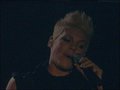 p!nk 10.12.2006 Wien 12380959