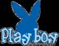 Play Boy 13624604