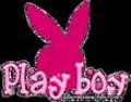 Play Boy 13624637