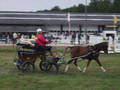 WELTMEISTERSCHAFT IN BELGIEN 9580470