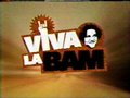 VIVA LA BAM 10624822