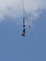 Bungee Jumping 65486631