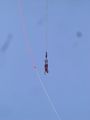 Bungee Sprung in Wien 73800044