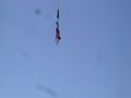 Bungee Sprung in Wien 73800046