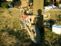 motocross 33037242