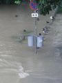 Hochwasser Steyr 2009 62277410