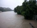 Hochwasser Steyr 2009 62277445