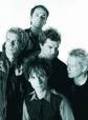 Die Toten Hosen 8844109