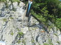 Cliff Diving Wolfgangsee 43357596