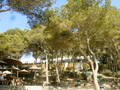 Spanien 2005 1651356