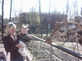 Zoo Schmiding und lena´s 2.Geburts 18408569