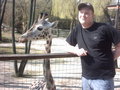 Zoo Schmiding und lena´s 2.Geburts 18408571