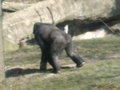 Zoo Schmiding und lena´s 2.Geburts 18410997