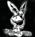 PLAYBOY"S" 6855356