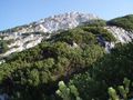 Jugendausflug 2009 - Rinnerkogel 67671459